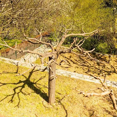 Domaine De Gialla Bergerie Carta, 6 Pers, Montagne, Vue Vila Porto-Vecchio (Corsica)