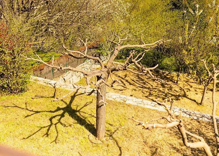 Domaine De Gialla Bergerie Carta, 6 Pers, Montagne, Vue Villa Porto-Vecchio (Corsica)